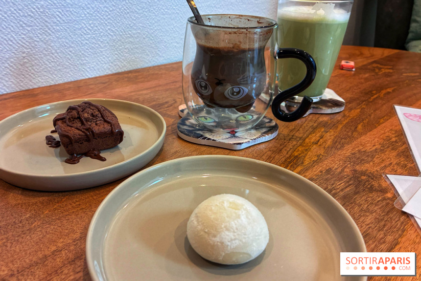 Le Chatelier  - IMG 2490