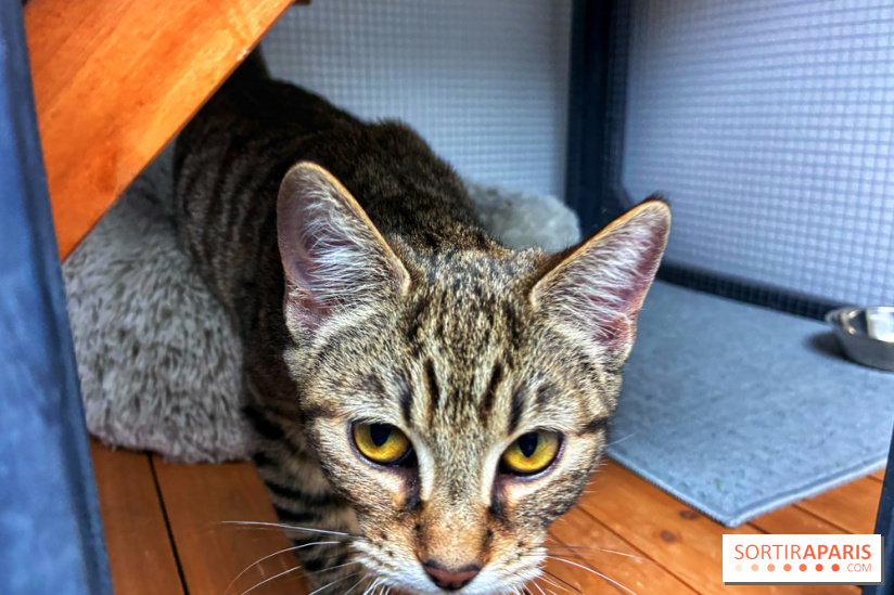 Le Chatelier  - IMG 2495