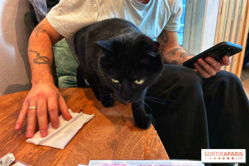 Le Chatelier  - IMG 2498