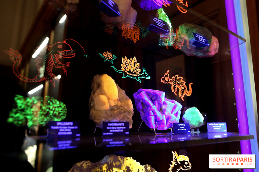 Codex on the Rocks, nos photos de l'expo au Musée de Minéralogie à Paris