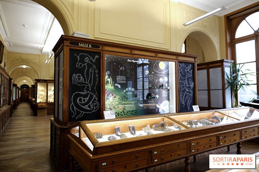 Codex on the Rocks, nos photos de l'expo au Musée de Minéralogie à Paris