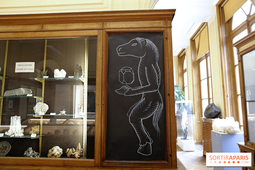 Codex on the Rocks, nos photos de l'expo au Musée de Minéralogie à Paris