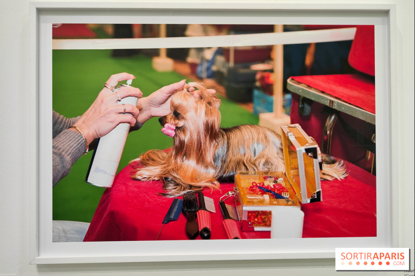 Global Warning : le photographe Martin Parr à l'honneur dans une exposition au Jeu de Paume - fotor 1769689888163