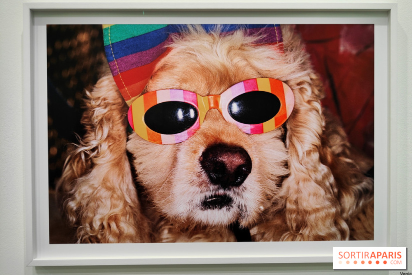 Global Warning : le photographe Martin Parr à l'honneur dans une exposition au Jeu de Paume - fotor 1769689947675