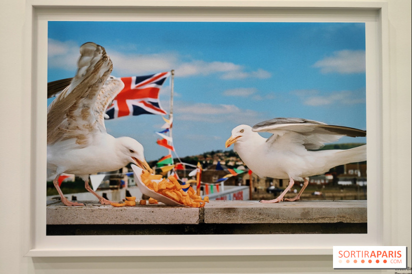 Global Warning : le photographe Martin Parr à l'honneur dans une exposition au Jeu de Paume - fotor 1769689992897