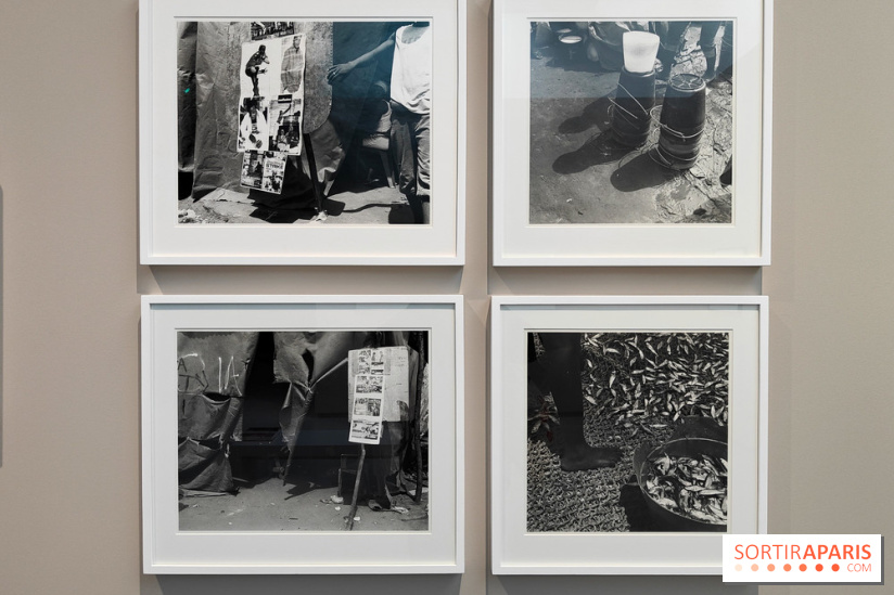 En ces lieux : la photographe contemporaine Jo Ractliffe expose au Jeu de Paume, nos images - fotor 1769690250992