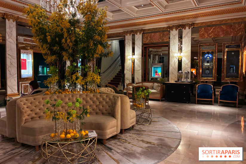 Le Céladon - IMG 2664