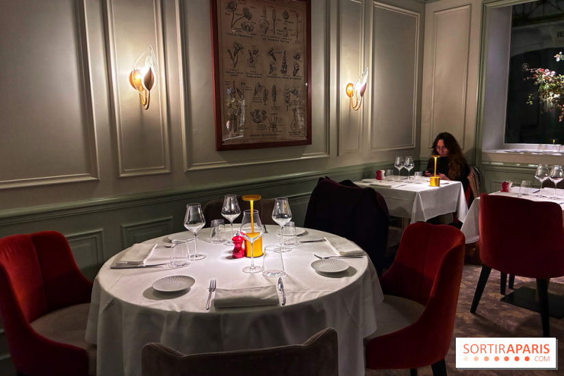 Le Céladon - IMG 2671