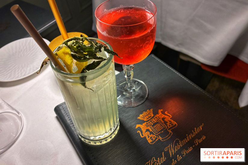 Le Céladon - IMG 2678