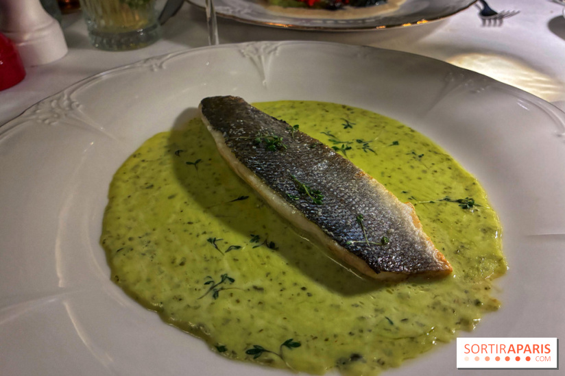 Le Céladon - IMG 2699