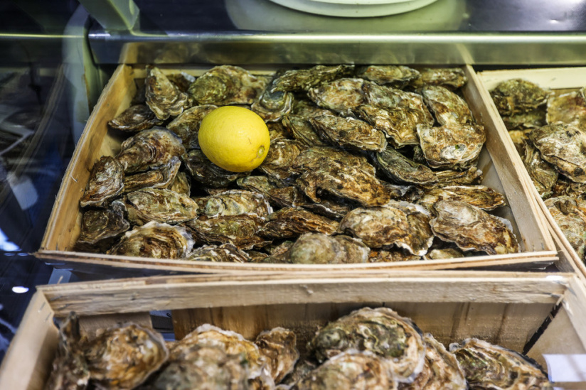 Carnavals de France à l’Hippodrome Paris-Vincennes : défilés, courses et Miss France 2026 - BV 20250209142900BV  4707