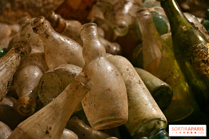 Les Caves du Roi, les mystérieux souterrains sous Sèvres - DSC 6196