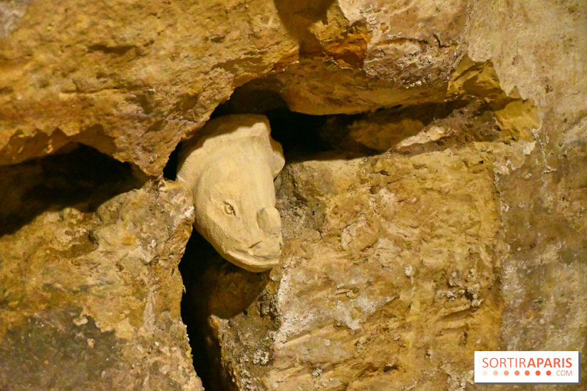 Les Caves du Roi, les mystérieux souterrains sous Sèvres - DSC 6266