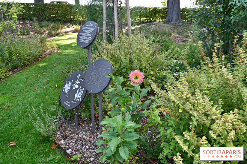 Le jardin des cinq sens à Pontoise, un lieu bucolique et sensoriel !