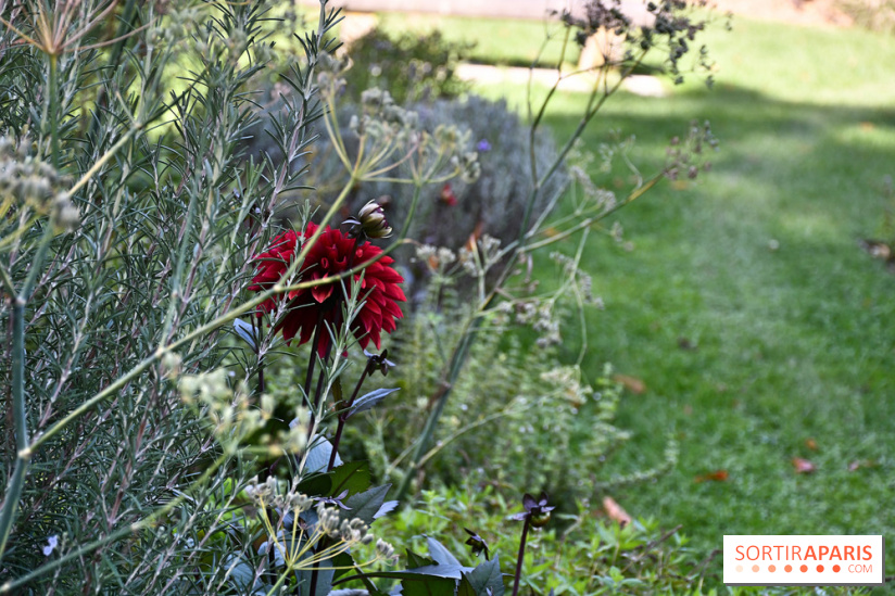 Le jardin des cinq sens à Pontoise, un lieu bucolique et sensoriel !