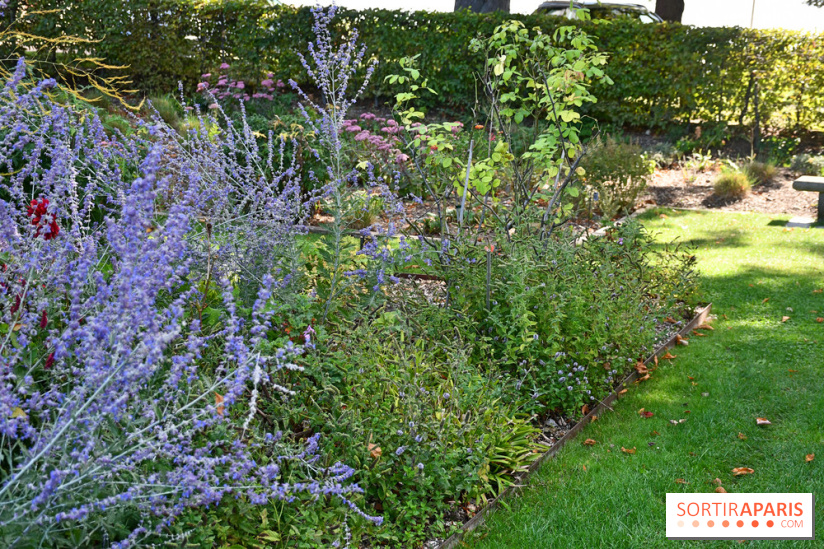 Le jardin des cinq sens à Pontoise, un lieu bucolique et sensoriel !