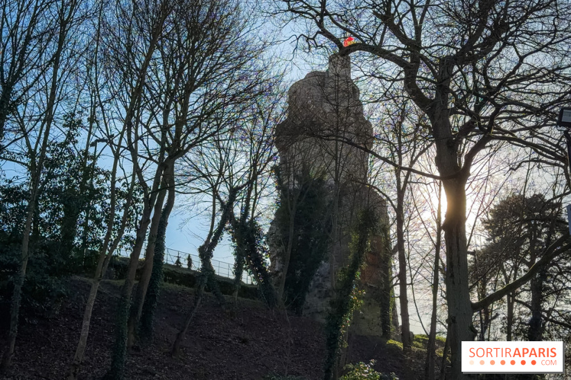 Ile-de-France : La Tour de Montlhéry au panorama unique sur l'Essonne - Flow 151208 01 115