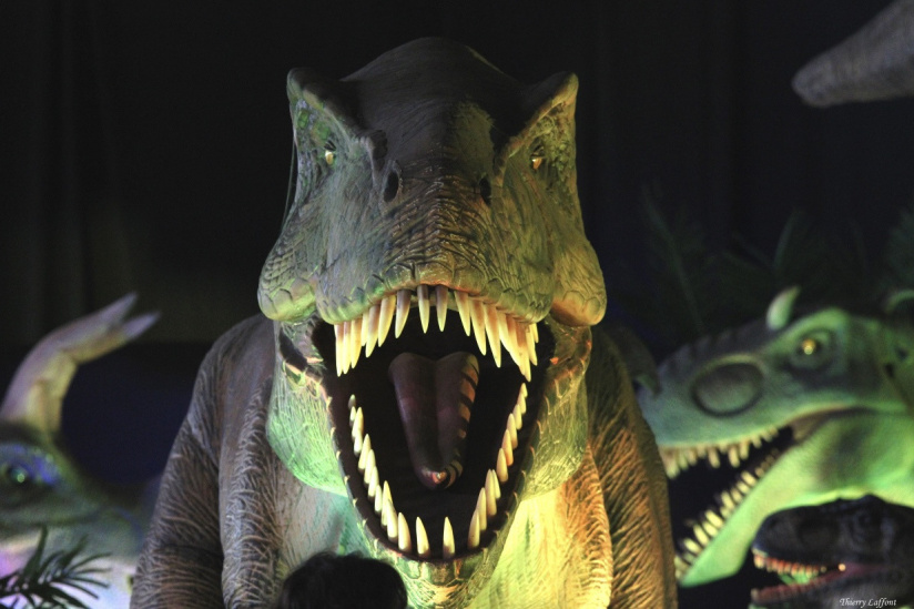 Le Monde des Dinosaures : une immersion spectaculaire avec 40 dinosaures animatroniques à Dammarie-les-Lys