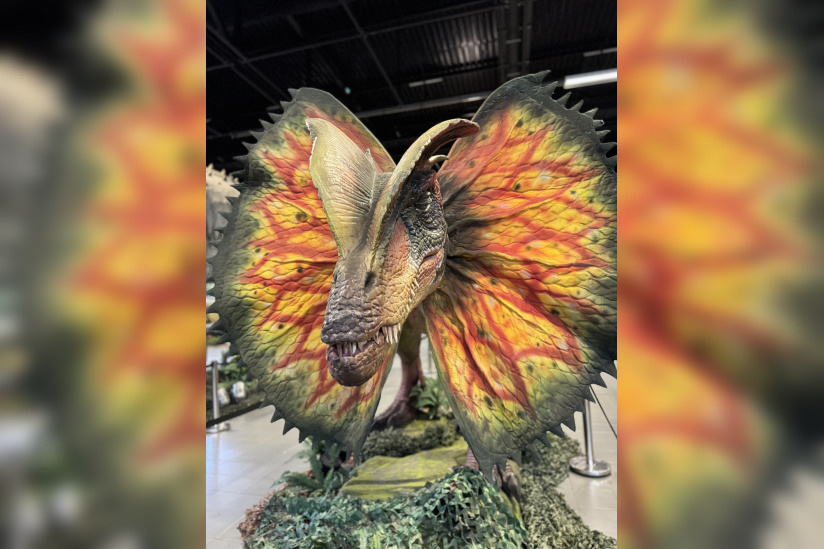 Le Monde des Dinosaures : une immersion spectaculaire avec 40 dinosaures animatroniques à Dammarie-les-Lys