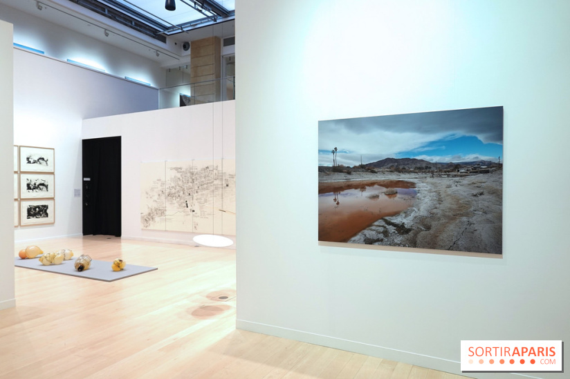 Exposition Contraste et indifférence au Centre culturel canadien - nos photos