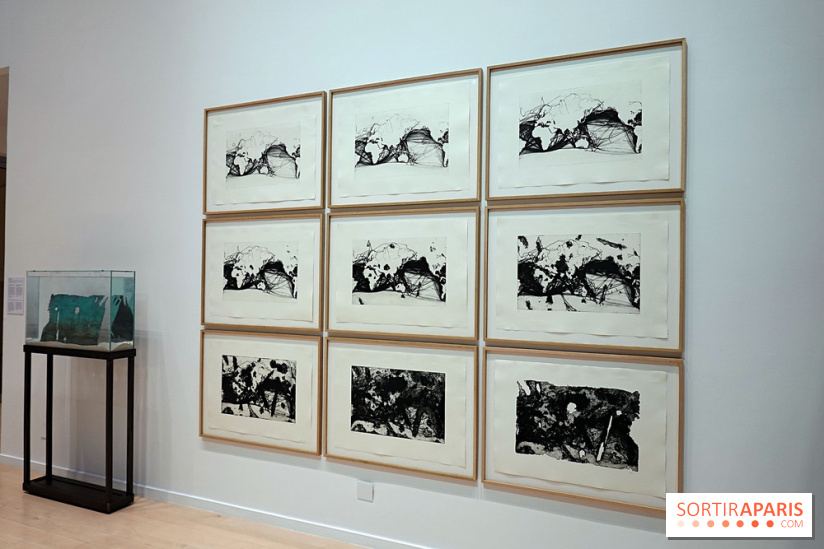 Exposition Contraste et indifférence au Centre culturel canadien - nos photos