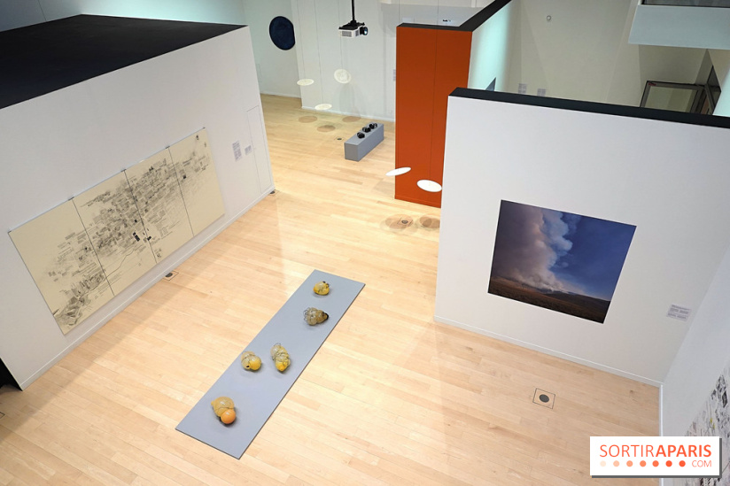 Exposition Contraste et indifférence au Centre culturel canadien - nos photos