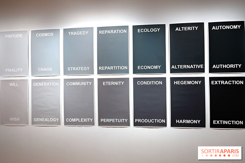 Exposition Contraste et indifférence au Centre culturel canadien - nos photos