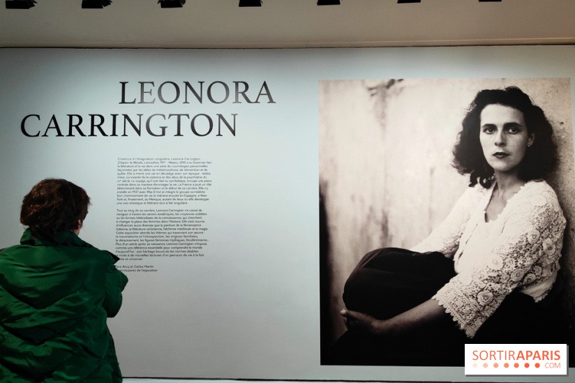 Leonora Carrington, l'exposition onirique d'une artiste surréaliste au musée du Luxembourg, photos - fotor 1771255254108