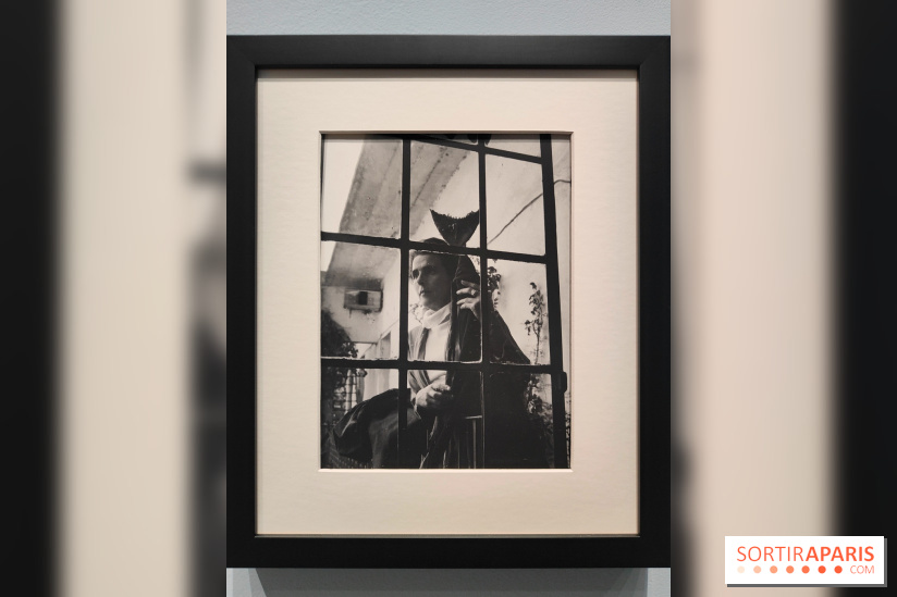 Leonora Carrington, l'exposition onirique d'une artiste surréaliste au musée du Luxembourg, photos - fotor 1771255375376