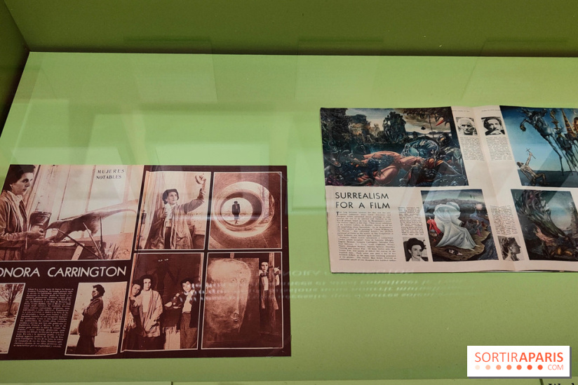 Leonora Carrington, l'exposition onirique d'une artiste surréaliste au musée du Luxembourg, photos - fotor 1771255528271