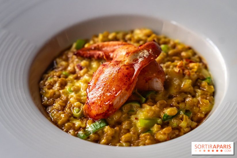 Les 110 de Taillevent, le restaurant traditionnel en accords mets et vins - photo - risotto au homard
