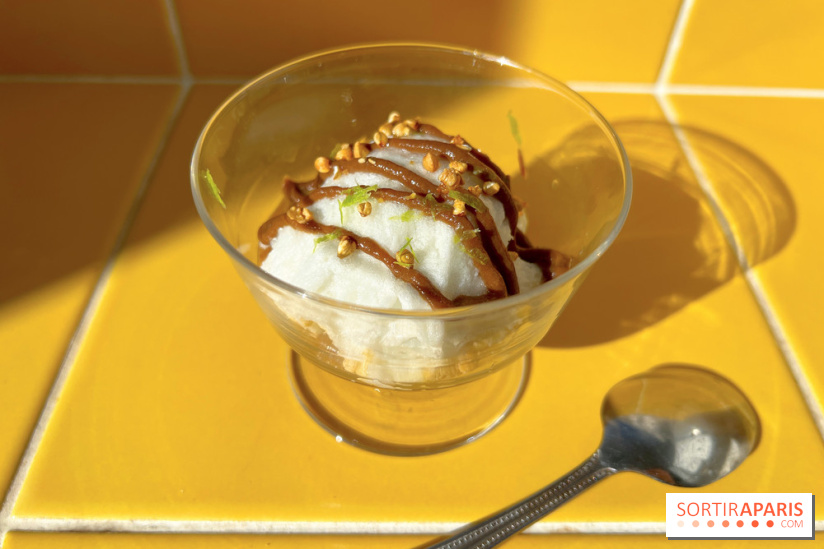 Tout Day - Ile flottante ail noir