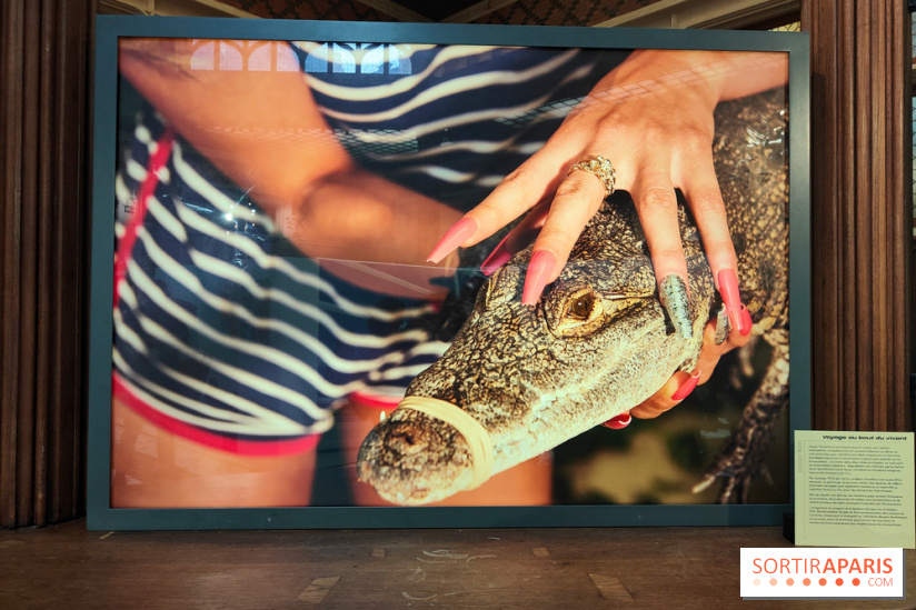 All Inclusive : la photographe Kourtney Roy interroge le tourisme dans une exposition à Citéco - fotor 1771496691011