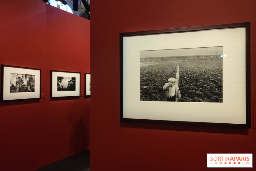 Sebastião Salgado au cœur d'une exposition de photos gratuite à l'Hôtel de Ville de Paris