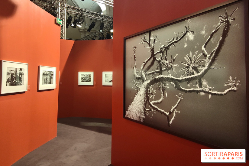 Sebastião Salgado au cœur d'une exposition de photos gratuite à l'Hôtel de Ville de Paris