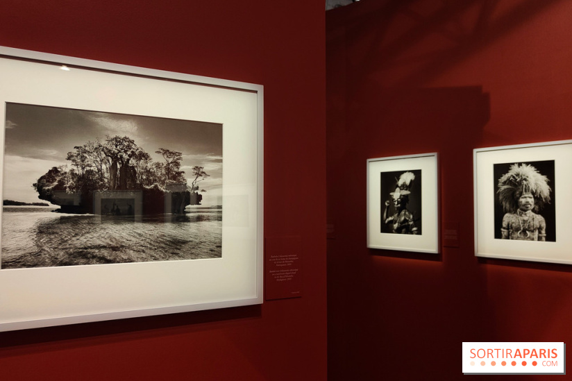 Sebastião Salgado au cœur d'une exposition de photos gratuite à l'Hôtel de Ville de Paris