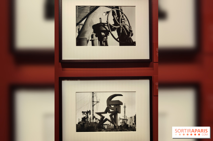 Sebastião Salgado au cœur d'une exposition de photos gratuite à l'Hôtel de Ville de Paris