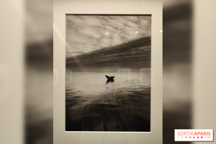 Sebastião Salgado au cœur d'une exposition de photos gratuite à l'Hôtel de Ville de Paris