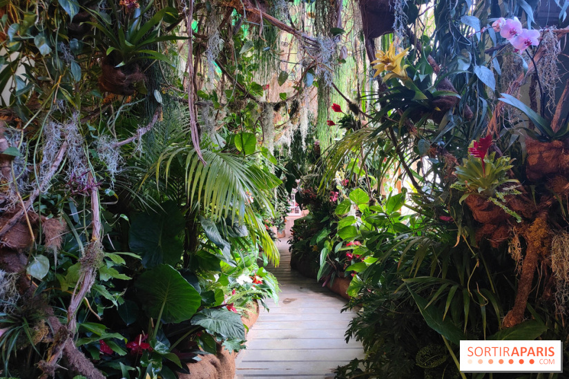 Sebastião Salgado au cœur d'une exposition de photos gratuite à l'Hôtel de Ville de Paris - fotor 1771520527216