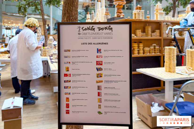 Song Dong  - IMG 4188