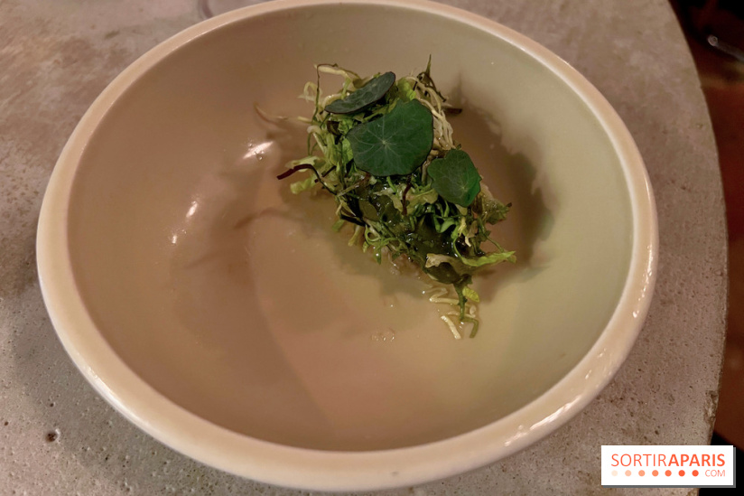 Vivide - Sorbet aux herbes 