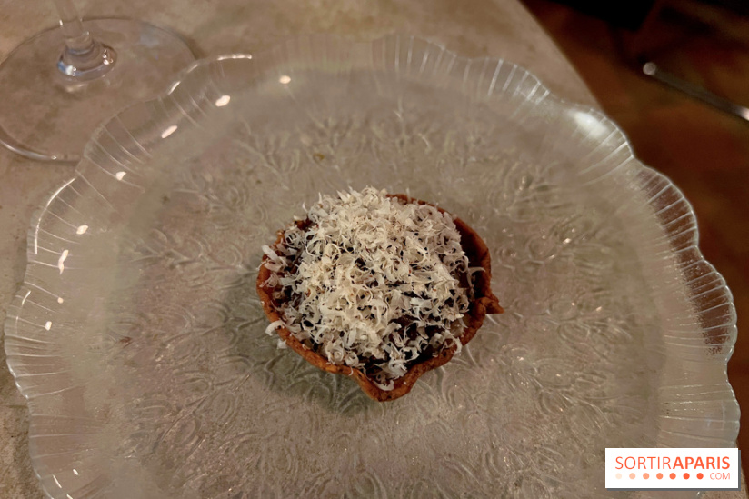 Vivide - Tout noisette