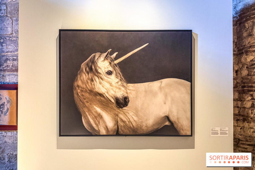 Licornes ! : l’exposition du Musée de Cluny à Paris explore le mythe de la créature légendaire