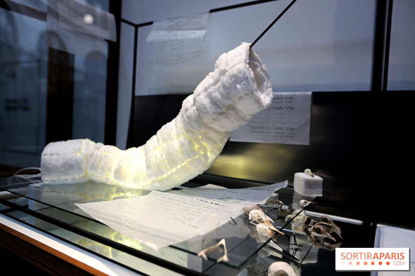 Exposition Clair-obscur à la Bourse de Commerce, nos photos