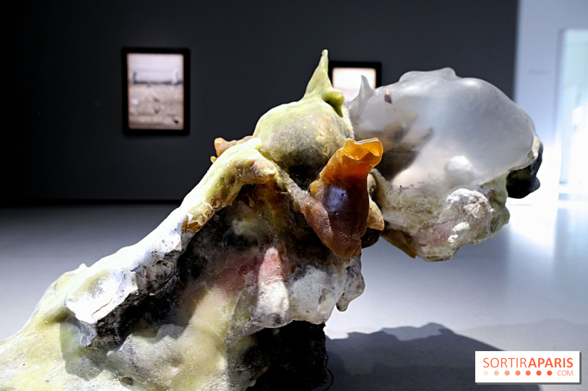 Exposition Clair-obscur à la Bourse de Commerce, nos photos