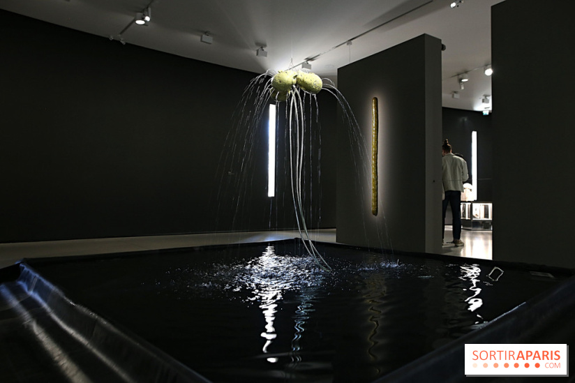 Exposition Clair-obscur à la Bourse de Commerce, nos photos