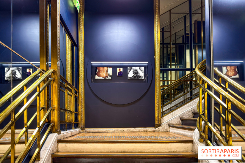 Pour Toujours, exposition de Maurizio Catelan aux Galeries Lafayette - IMG 5800