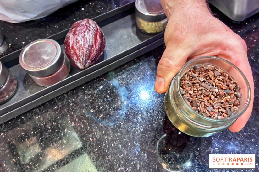 Atelier rocher praliné Edwart Chocolatier - IMG 3882