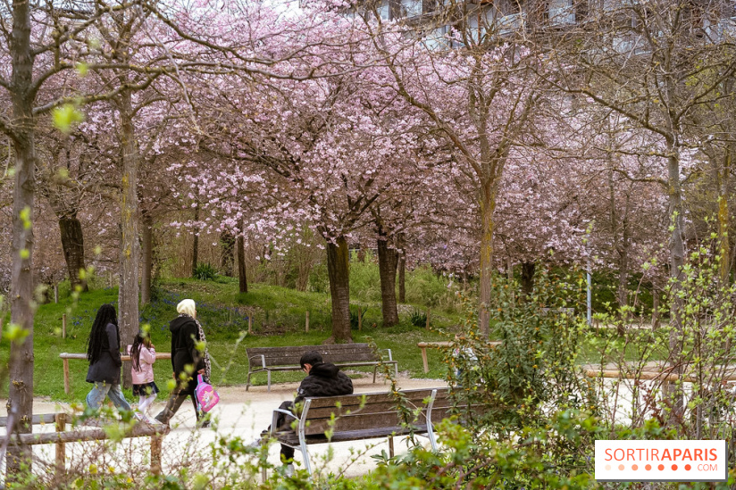Les cerisiers du parc Martin Luther King - Clichy - Batignoles