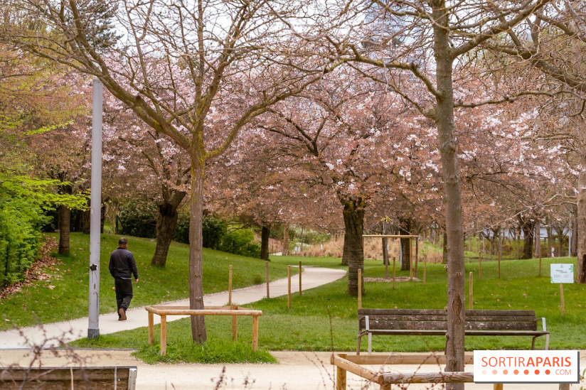 Les cerisiers du parc Martin Luther King - Clichy - Batignoles - A7C08849